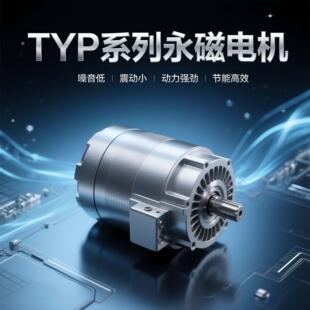 200w永磁交流电机TYP系列永磁变频同步电动机