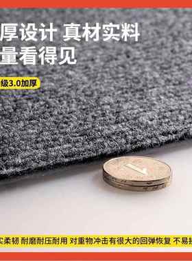 ?地毯大粘铺楼梯自地垫面积全铺房间F77MHS6S满卧室主卧家用加厚