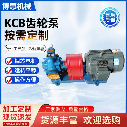 抽油泵KCB300/483/200齿轮泵高温润滑油输送泵液压齿轮铸钢不锈钢