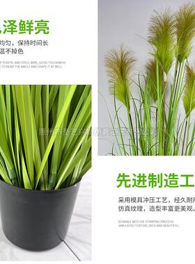 仿真叶芦苇人造洋葱草 假草绿植5头绿色芦苇草仿真花落地植物盆栽