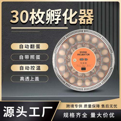 智能新型孵化机30枚自动翻蛋孵化器 迷你家用小型孵化设备