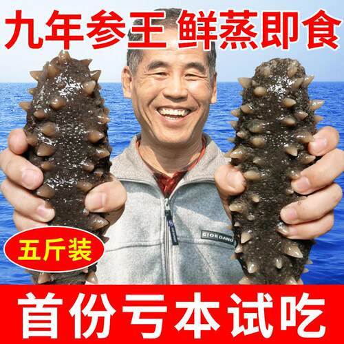 大连九年即食海参2500g深海辽刺参深海非干参鲜活冷冻单个装