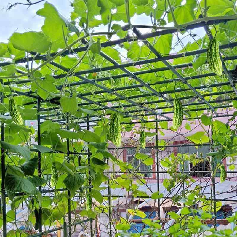 户外庭院萄架葡组装支百香果苦瓜攀爬架铁艺棚架架阳植物爬厂家直