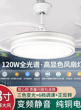 隐形风扇灯2025新款吊扇灯吸用客厅餐厅卧室带电扇灯吊灯一体