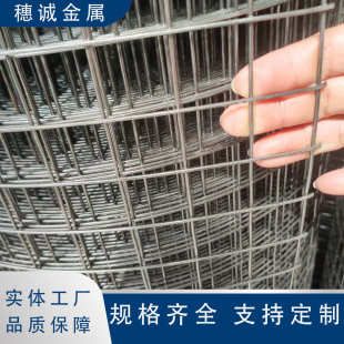 12.7铁丝网热镀锌电焊网墙面抹灰批荡网 深圳厂家镀锌电焊网12.7