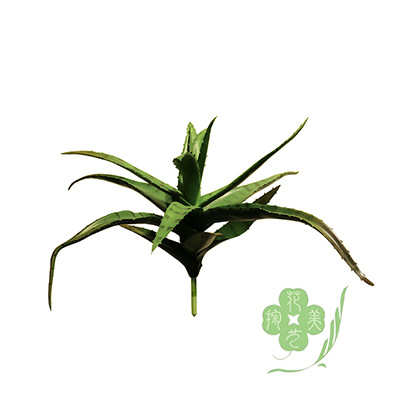 装饰摆件室内热带兰虎皮剑沙漠盆栽龙舌兰造景麻叶绿植物假树