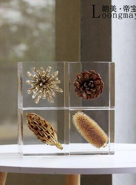 植物标本蒲公英蝴蝶透明摆件客厅书房现代轻奢树脂设计师软装饰品