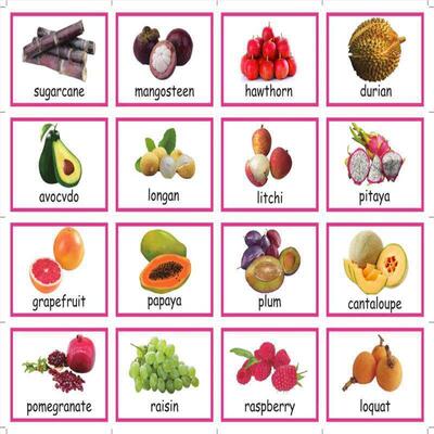 Kids Montessori Baby Learn English Word Card Flashcards Cogn