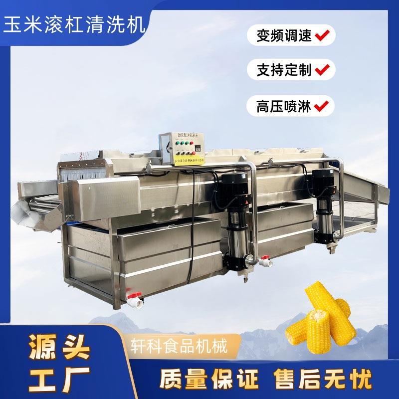 全自动果蔬清洗机蔬菜涡流土豆净菜加工果蔬气泡净菜加工清洗机