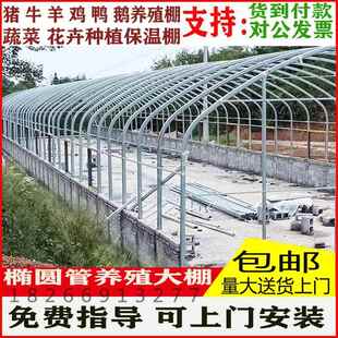 温室小棚骨架大蔬菜花卉种植家用养猪养鸡鸭鹅养羊养殖钢管支架全
