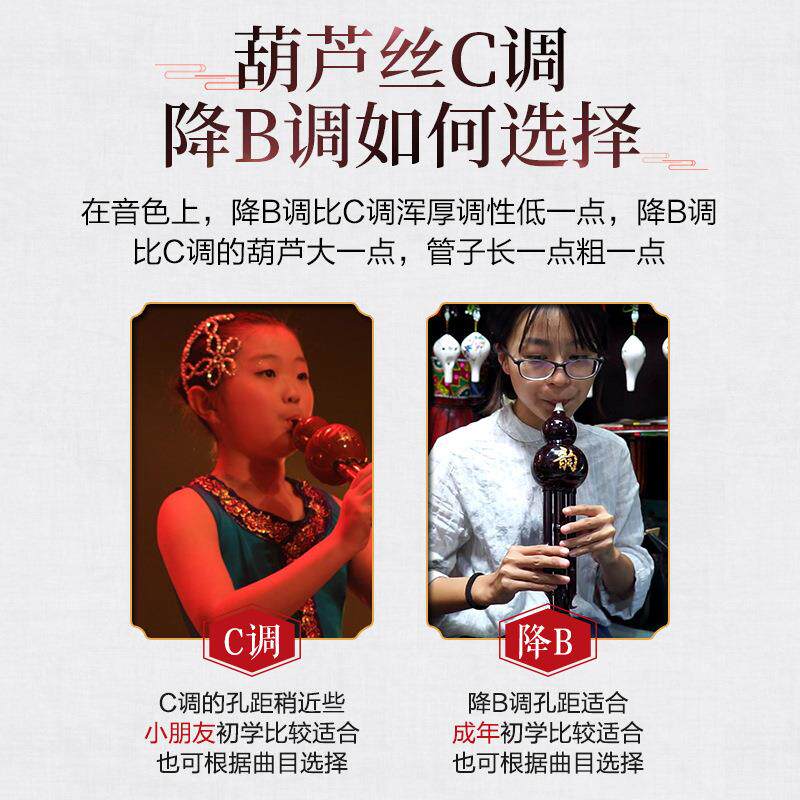 B铜镀银葫芦TSZ丝C调降调初学者小生专业演奏型胡芦学丝民镀族乐