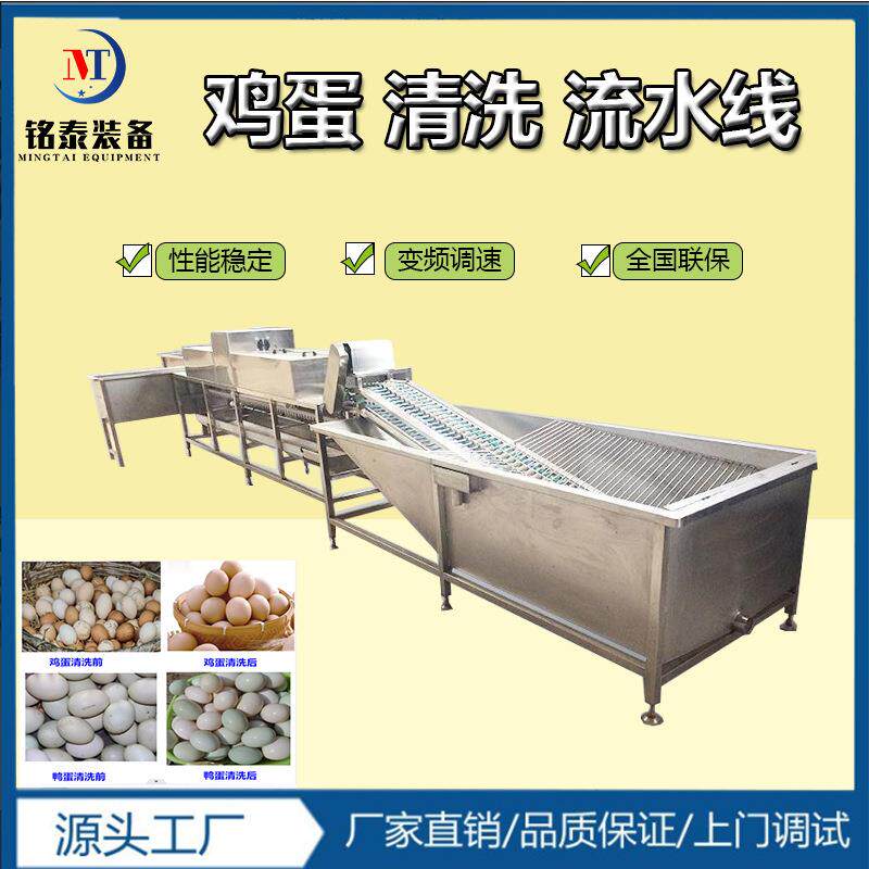 道鸡蛋清洗机 珍珠纱轨式毛风干清洗消毒设备 刷紫外线62杀菌洗蛋