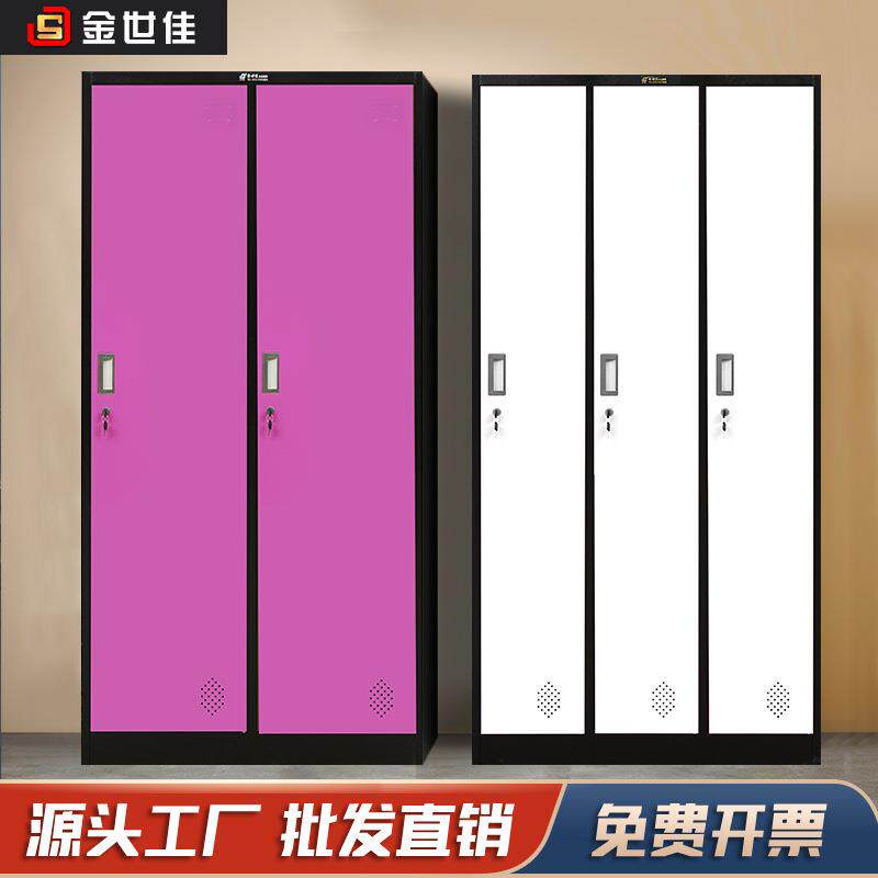 厂家直销钢制员工宿舍更衣柜储物柜2门家用彩色衣柜加厚铁皮柜子