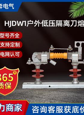 HJDW1(2/3/6)-0.5kv/400/600/800/1000A户外低压隔离刀熔开关500V