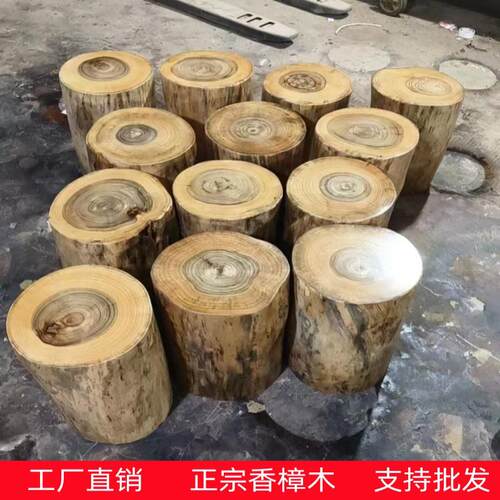 香樟木墩子原木树桩木桩树墩艺术根雕茶几登坐墩实木树头支架底座