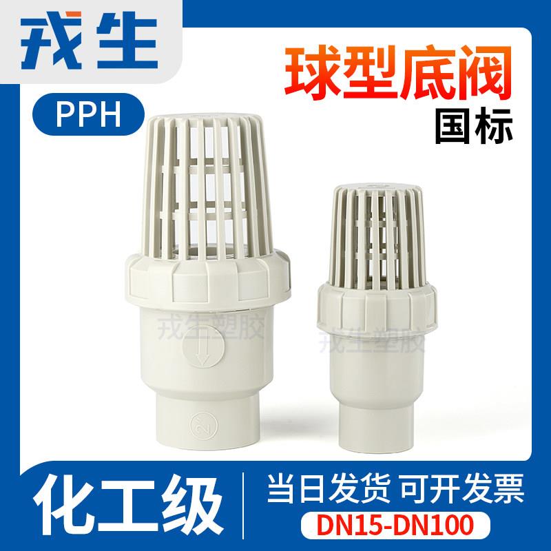 戎生PPH底阀ppr对焊球型止回阀水管止逆阀抽水泵滤网进水花篮莲蓬图片