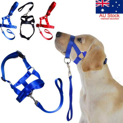 Creative Dog Halter Halti Training Head Collar Gentle Leader