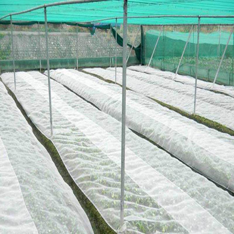 防虫网防菜大棚专用养场防蔬蚊网果猪树园白粉虱晾20230121晒网罩