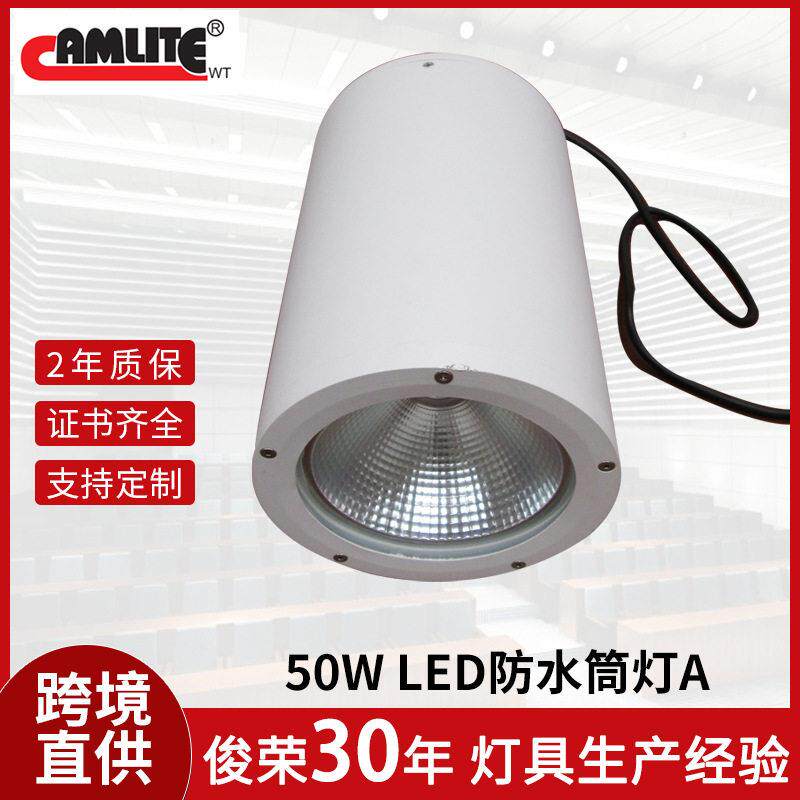 50W防水筒灯室内户外门头阳台飞机场车站仓库车间顶棚吊杆LED筒灯
