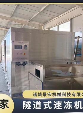 水饺速食品隧道式速冻机大型包子速冻设备不锈钢隧道式冻机