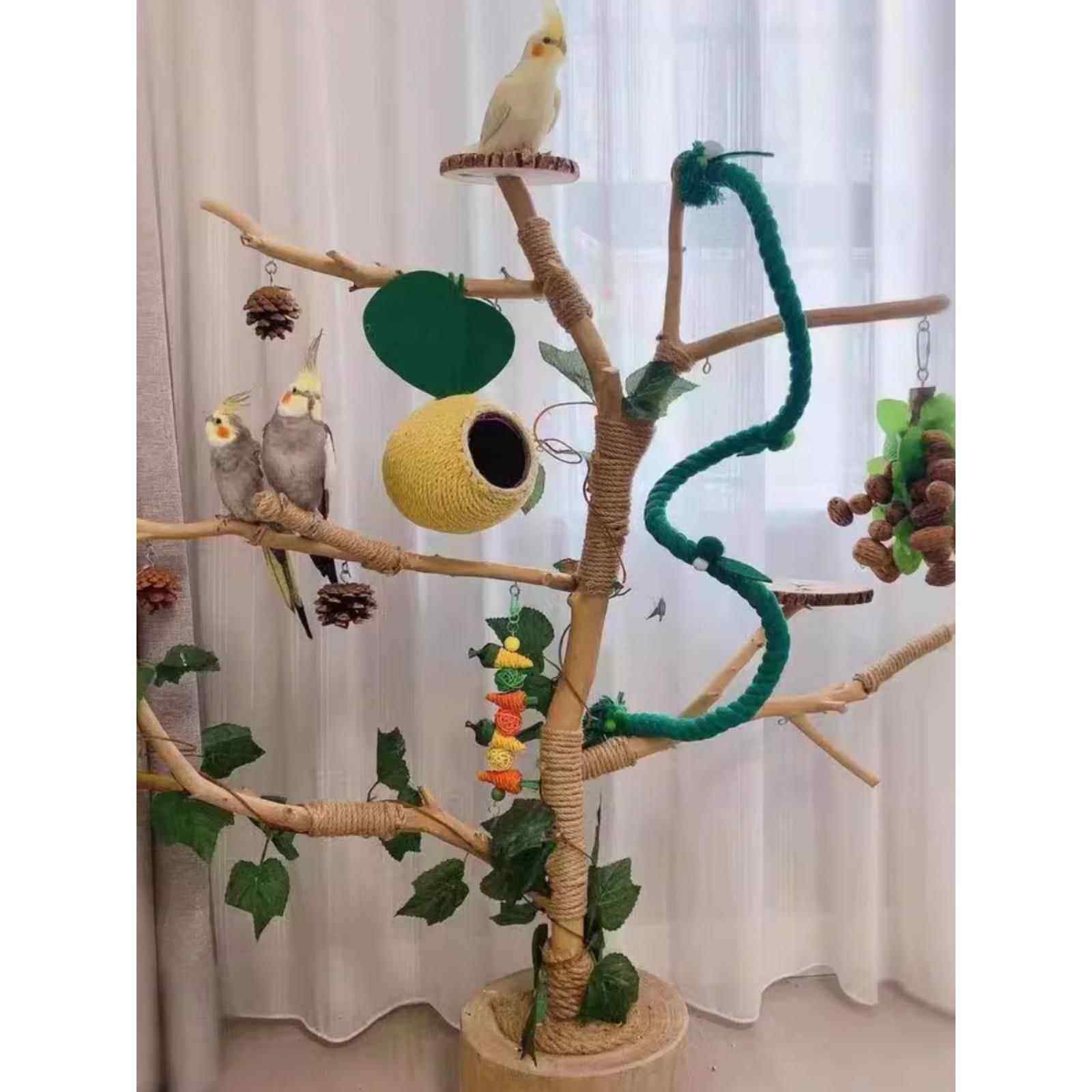 鸟站架树枝树杆鹦鹉站架树干原木站杆树杈秋千鸟笼实木灯架枯枝