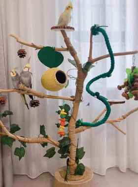 鸟站架树枝树杆鹦鹉站架树干原木站杆树杈秋千鸟笼实木灯架枯枝