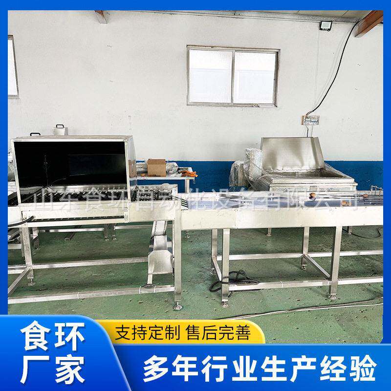 全自动四排六排洗蛋机大型鸡蛋咸鸭蛋松花蛋商超保洁蛋品清洗机