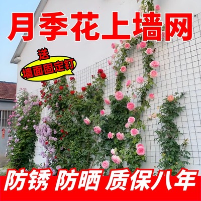 爬藤网植物攀爬网农用种植蔬菜网格菜架子铁线丝花卉瓜果庭院阳台