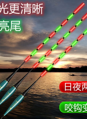 变色灵敏鲤鱼鱼漂两用夜钓咬浮漂