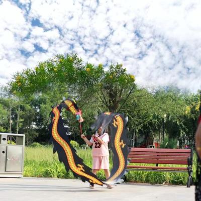 龙健身儿童更多中小型健身器材