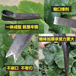农具 手工锻打锄头种菜家用农具园艺翻地挖笋刨树根户外轨道钢老式