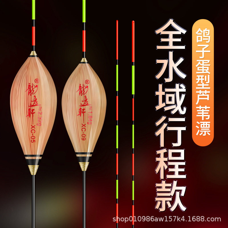 带壳芦苇漂鲢鳙浮漂库钓远投大物漂高灵敏加粗尾醒目鲫 鲤鱼,户外/登山/野营/旅行用品,浮漂,淘宝优惠券,粉丝福利购,淘宝优惠卷