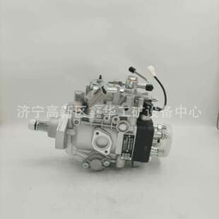 油泵总成VE泵096000 0960004940 504063450 现货销售 4940