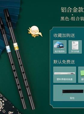 高档DBOD 爱属尔兰哨笛初学者入门演奏金属6A孔C/调高合音金直竖