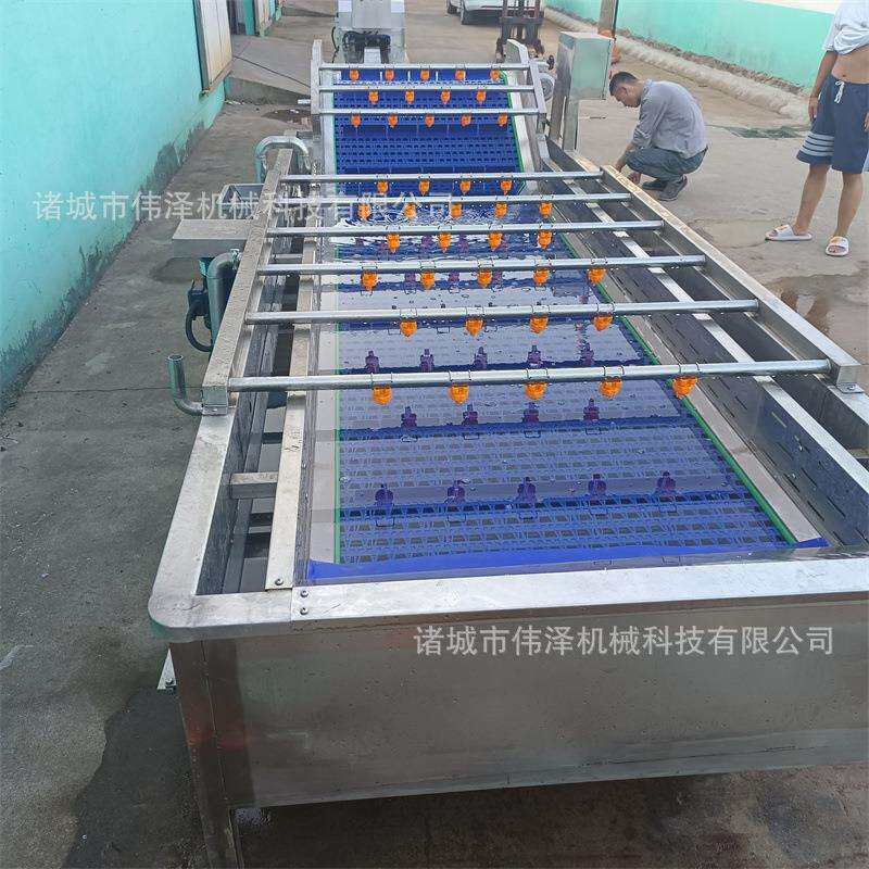 子气泡橘清RGB洗流水线伟泽 机械供应清洗机 大喷枣去杂淋清洗机