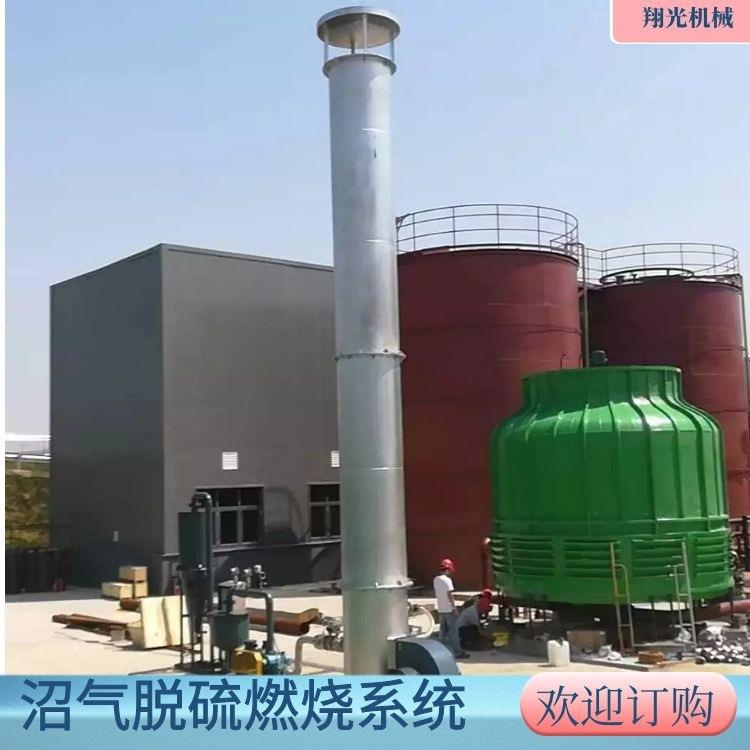 养殖场内燃式沼气燃烧火炬 翔光 废气燃烧处理设备 耐高度腐蚀