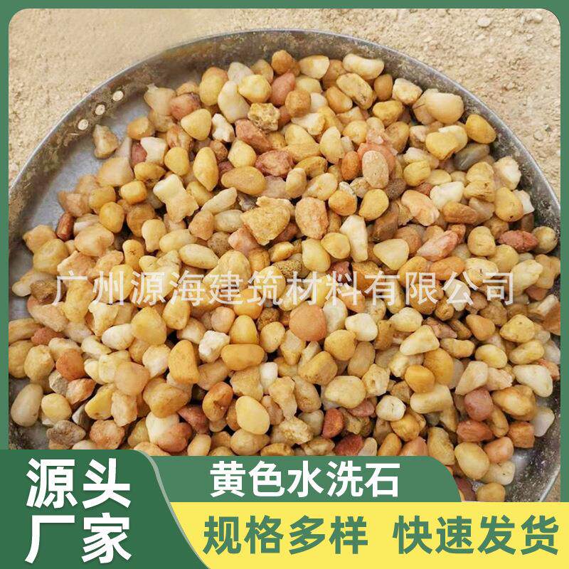 金黄砂天然黄砂庭院沙景装饰黄色石米 建筑水洗黄石子 黄金砂