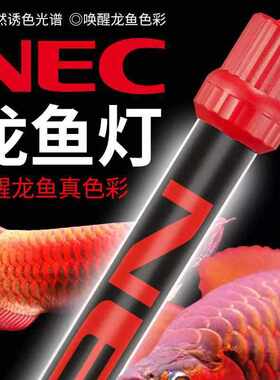 照明鱼缸鱼缸龙红灯烤鱼鱼缸t8灯灯色灯诱灯架nec水族龙厂家灯架