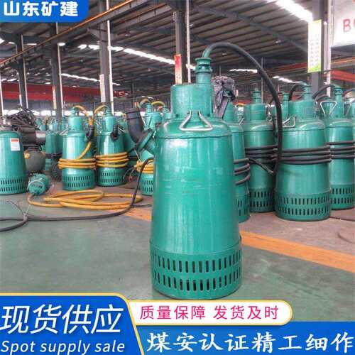 现货销售QD10-26潜水泵大流量单相抽水机农用灌溉清水泵排沙泵