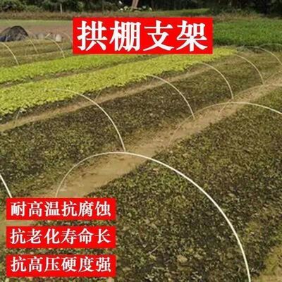 新型小拱棚支架拱杆种植大棚支撑杆菜棚玻璃钢温室拱竿支架杆骨