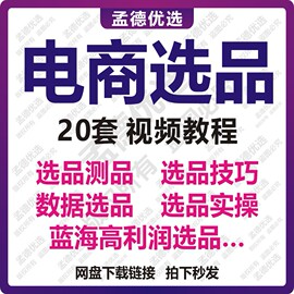 电商选品技巧教程数据选品蓝海产品选品测品电商运营多套课程合集