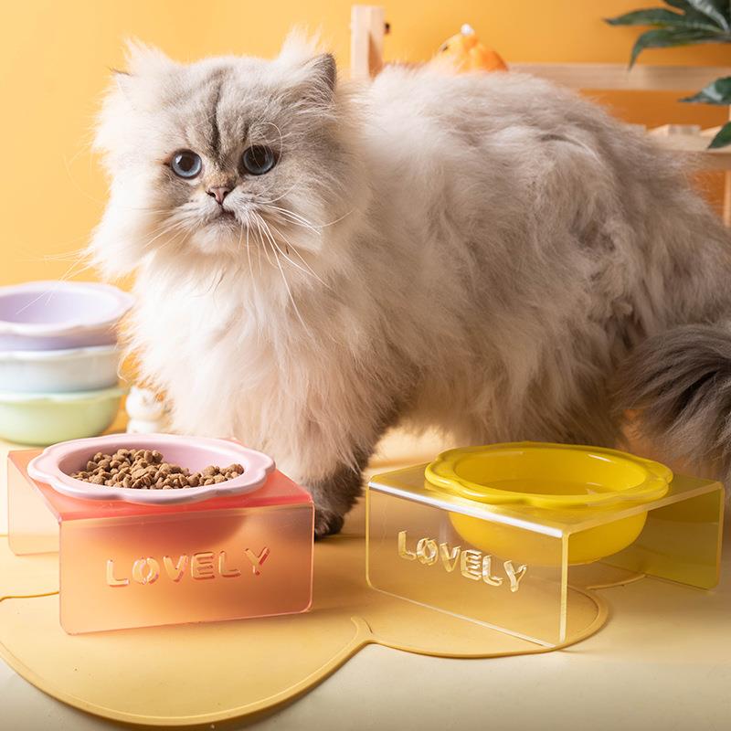 宠物碗猫碗陶瓷猫咪碗亚克力架子罐头湿粮冻干mini碗宠物用品