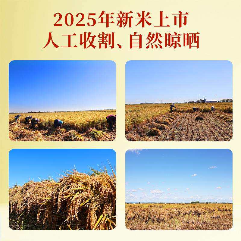 大k米20斤织一袋五常大米2025年新米瑞米ZOOg轩10编袋现货厂家代