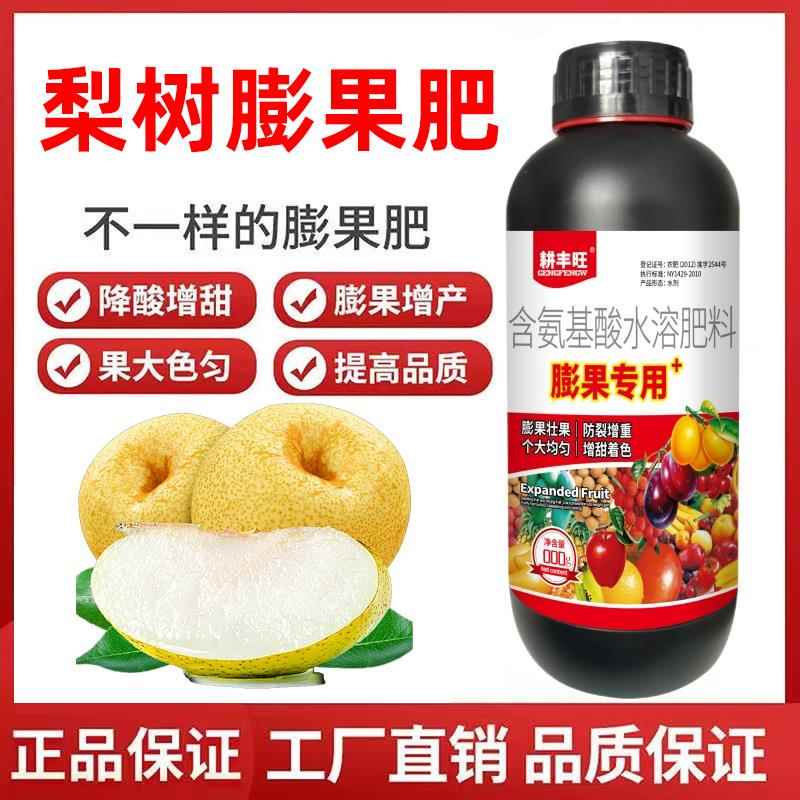 梨树大一圈梨树膨大素防裂增产增收膨大素梨树专用正品梨树膨大剂