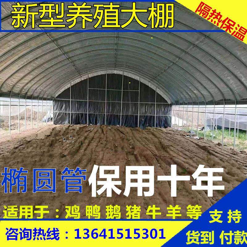 养殖大棚全套大棚钢管骨架养鸡鸭鹅猪舍养牛棚羊圈椭圆管大棚搭建