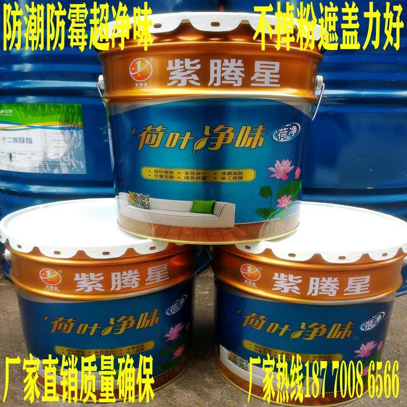 内墙乳胶漆墙面不掉粉零甲醛防霉净味涂料环保防水漆室内竹炭水性