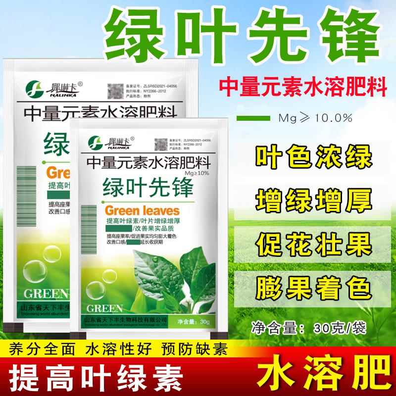 绿叶先锋蔬菜瓜果叶面肥农用叶面肥黄叶生根壮苗叶绿素旺果水溶肥