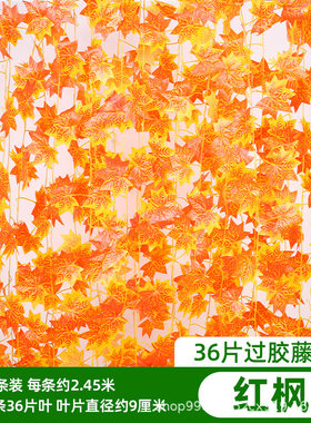 爬山虎仿真藤条葡萄装饰仿真绿植