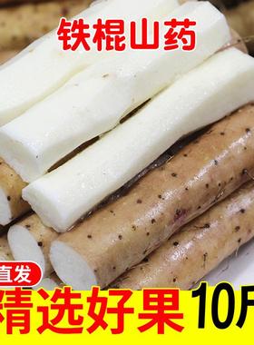 垆土地铁棍山药新鲜小白嘴麻山药棒10斤铁杆淮山河南焦作蔬菜
