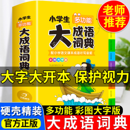 2024年正版小学生大成语词典小学多功能大全四字彩图彩色版解释书中华现代汉语词语工具书中小学新华字典儿童训练大字典专用最新版